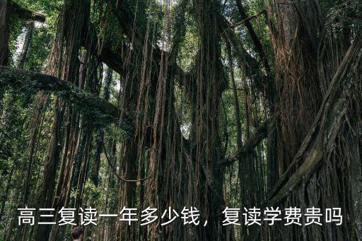 高三復(fù)讀一年多少錢，復(fù)讀學(xué)費貴嗎
