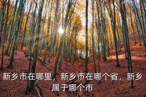 新鄉(xiāng)市在哪里，新鄉(xiāng)市在哪個(gè)省，新鄉(xiāng)屬于哪個(gè)市