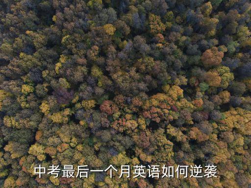 中考最后一個月英語如何逆襲