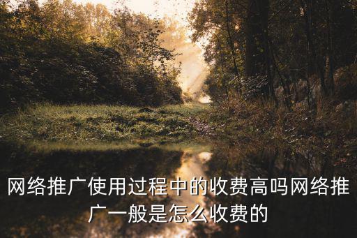 網(wǎng)絡(luò)推廣使用過程中的收費高嗎網(wǎng)絡(luò)推廣一般是怎么收費的