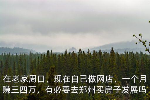 在老家周口，現在自己做網店，一個月賺三四萬，有必要去鄭州買房子發展嗎