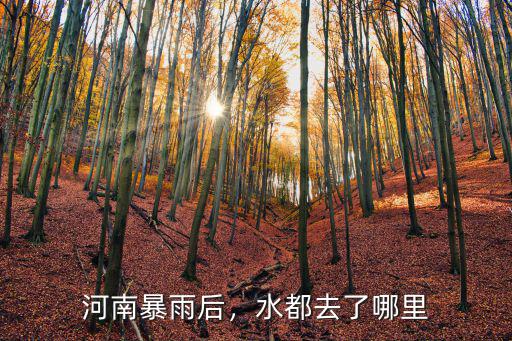 河南暴雨后，水都去了哪里