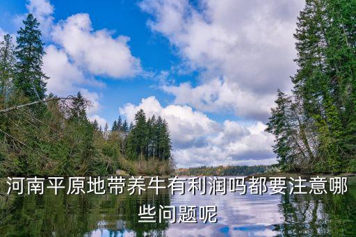 河南架子牛哪里有賣,哪里有牛苗出售