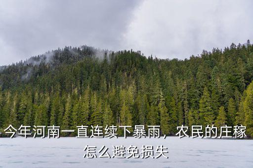 河南下大雨沒電怎么吃飯,農民看天吃飯怎么破