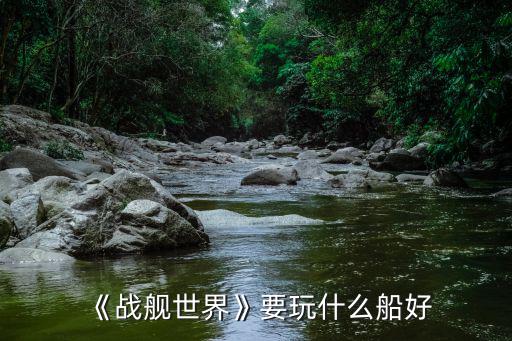 《戰(zhàn)艦世界》要玩什么船好