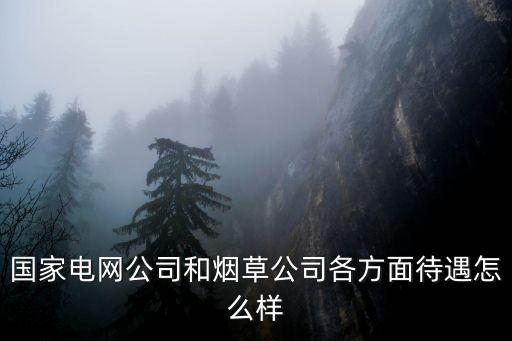 國家電網公司和煙草公司各方面待遇怎么樣