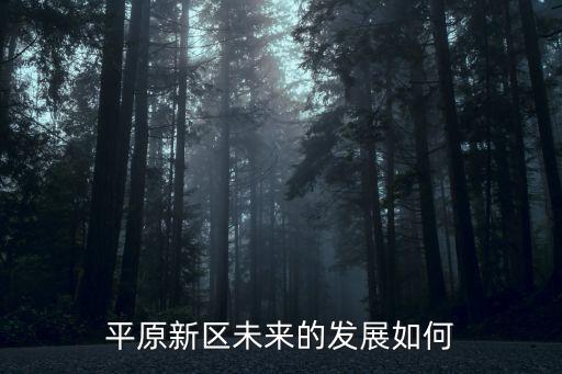 平原新區未來的發展如何