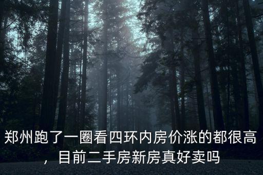 鄭州跑了一圈看四環內房價漲的都很高，目前二手房新房真好賣嗎