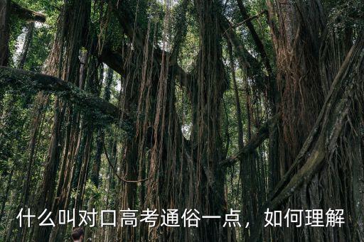 什么叫對(duì)口高考通俗一點(diǎn)，如何理解