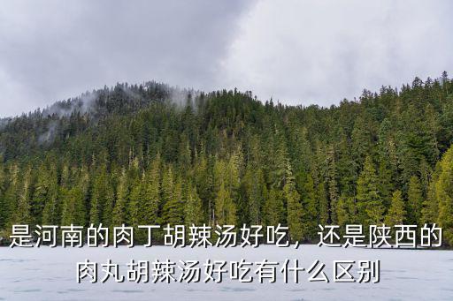 是河南的肉丁胡辣湯好吃，還是陜西的肉丸胡辣湯好吃有什么區(qū)別