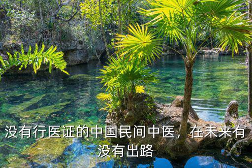 沒有行醫證的中國民間中醫，在未來有沒有出路