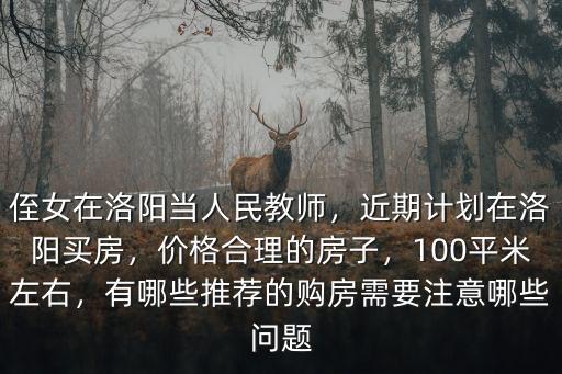 侄女在洛陽(yáng)當(dāng)人民教師，近期計(jì)劃在洛陽(yáng)買房，價(jià)格合理的房子，100平米左右，有哪些推薦的購(gòu)房需要注意哪些問題