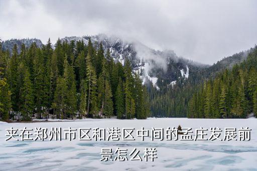 鄭州港區(qū)發(fā)展的怎么樣,鄭州航空港未來發(fā)展怎樣