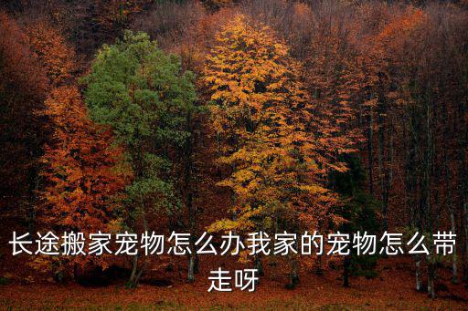 長途搬家寵物怎么辦我家的寵物怎么帶走呀