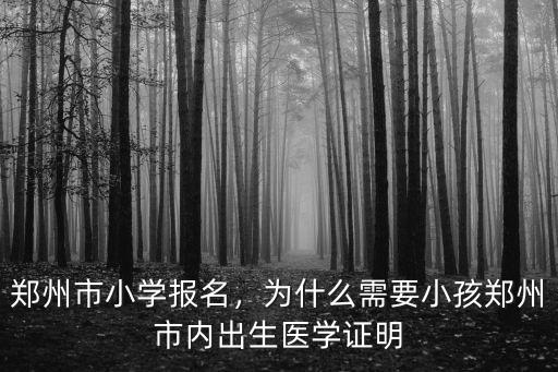 鄭州市小學(xué)報名，為什么需要小孩鄭州市內(nèi)出生醫(yī)學(xué)證明