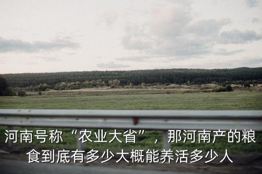 河南號(hào)稱“農(nóng)業(yè)大省”，那河南產(chǎn)的糧食到底有多少大概能養(yǎng)活多少人