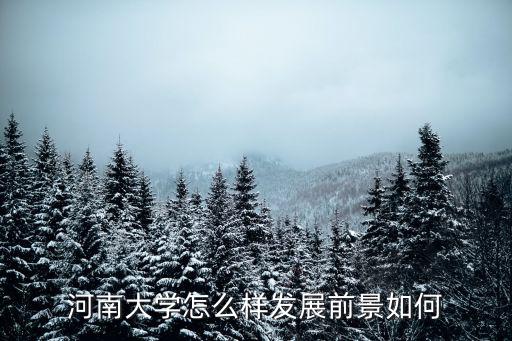 河南大學怎么樣發展前景如何