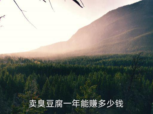 賣臭豆腐一年能賺多少錢