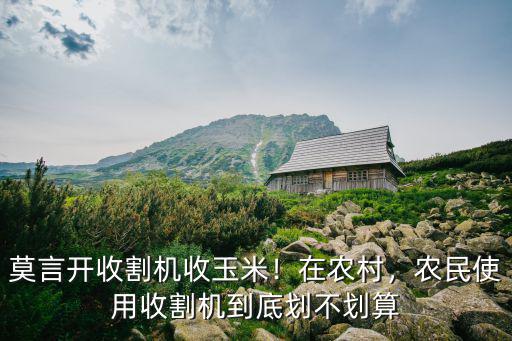 開(kāi)封玉米收割機(jī)哪里有,莫言開(kāi)收割機(jī)收玉米