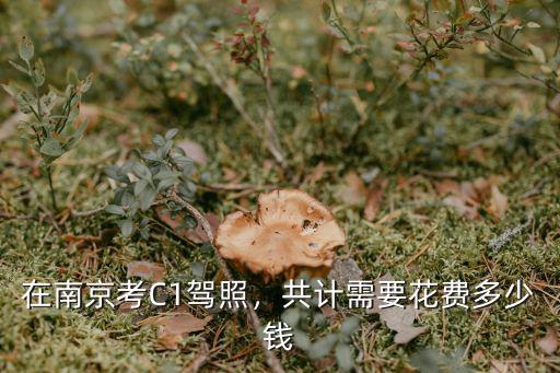 河南在南京考駕照需要多少錢2015新年,在南京考C1駕照