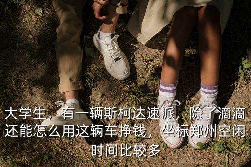 大學生，有一輛斯柯達速派，除了滴滴還能怎么用這輛車掙錢，坐標鄭州空閑時間比較多