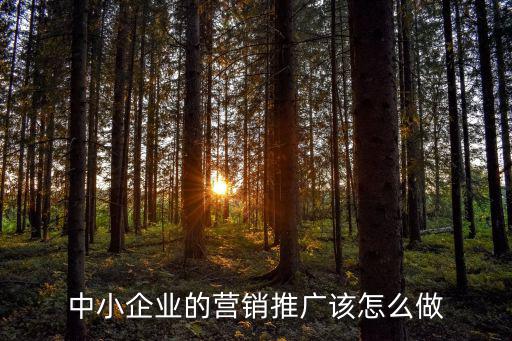 中小企業的營銷推廣該怎么做