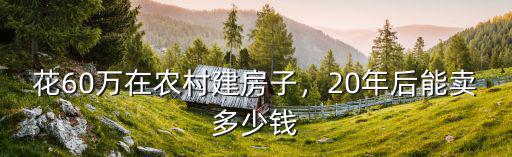 花60萬在農村建房子，20年后能賣多少錢