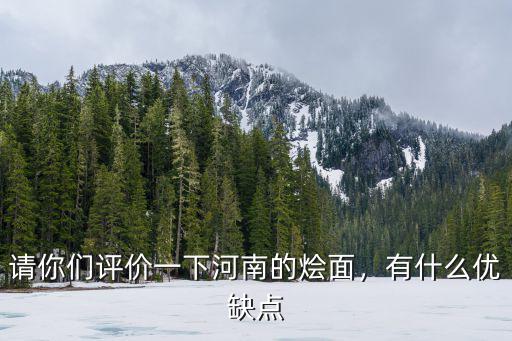 請你們評價一下河南的燴面，有什么優缺點