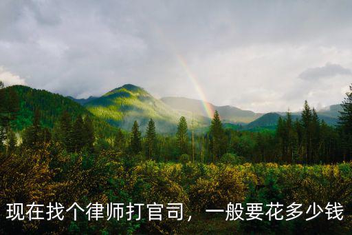 現在找個律師打官司，一般要花多少錢