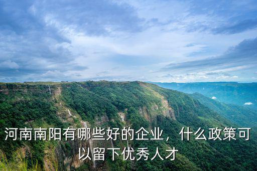 河南南陽有哪些好的企業，什么政策可以留下優秀人才