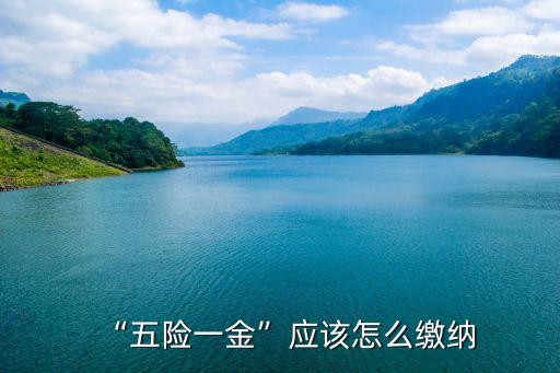 商丘五險一金怎么交,五險一金怎么交