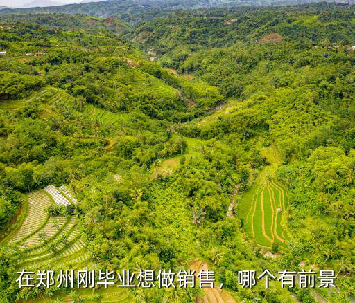 在鄭州剛畢業想做銷售，哪個有前景