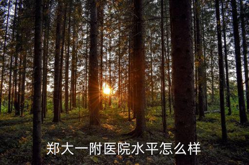 鄭大一附醫(yī)院水平怎么樣