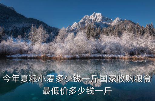 今年夏糧小麥多少錢一斤國家收購糧食最低價多少錢一斤
