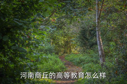 商丘龍程教育怎么樣,河南商丘的高等教育怎么樣