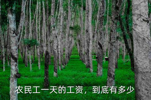 鄭州防水大工小工工資多少,農民工一年的工資大概是多少