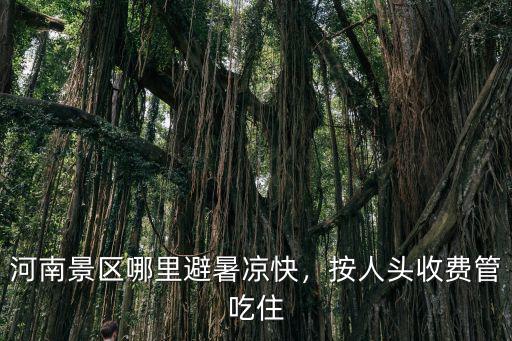 河南景區哪里避暑涼快，按人頭收費管吃住
