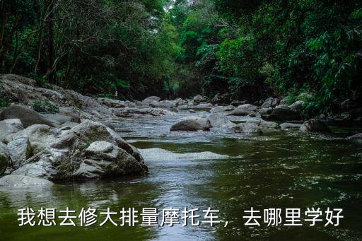 我想去修大排量摩托車，去哪里學好