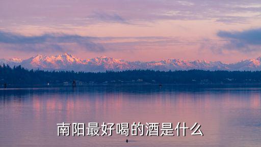 南陽最好喝的酒是什么