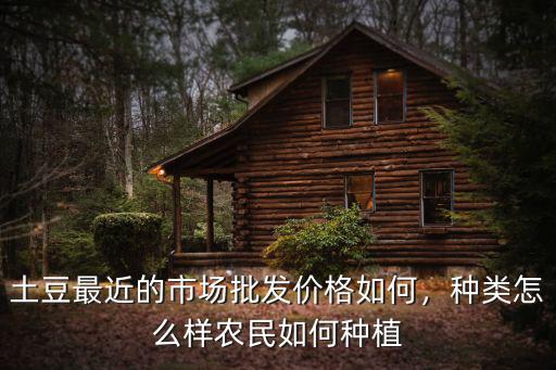 南陽哪里種植土豆,初秋種植土豆要注意哪些事項