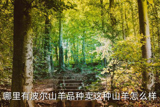哪里有波爾山羊品種賣這種山羊怎么樣