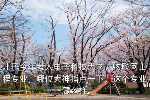 兒子今年考入電子科技大學，物聯網工程專業，哪位大神指點一下，這個專業怎么樣
