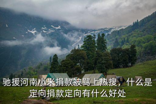 馳援河南抗洪救災(zāi)怎么捐款,馳援河南小米捐款被罵上熱搜
