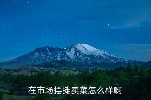 在市場擺攤賣菜怎么樣啊
