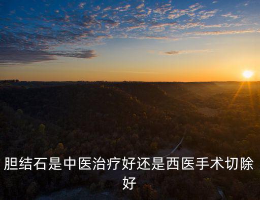膽結石是中醫治療好還是西醫手術切除好