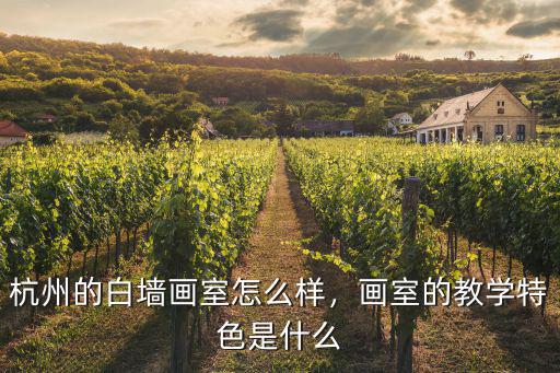 杭州的白墻畫室怎么樣，畫室的教學特色是什么