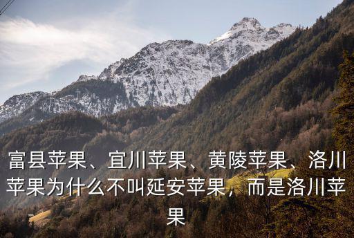 洛陽哪里有賣洛川蘋果的,今年的洛川蘋果怎么樣