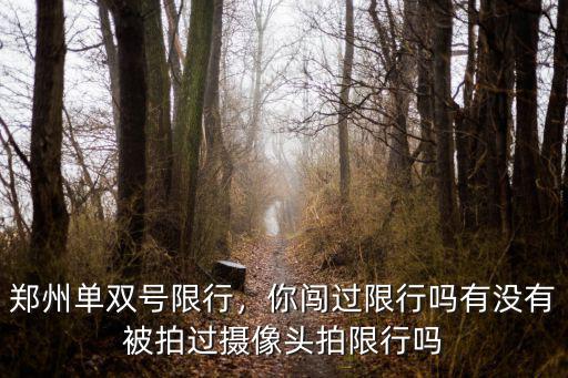 鄭州單雙號(hào)限行，你闖過(guò)限行嗎有沒(méi)有被拍過(guò)攝像頭拍限行嗎