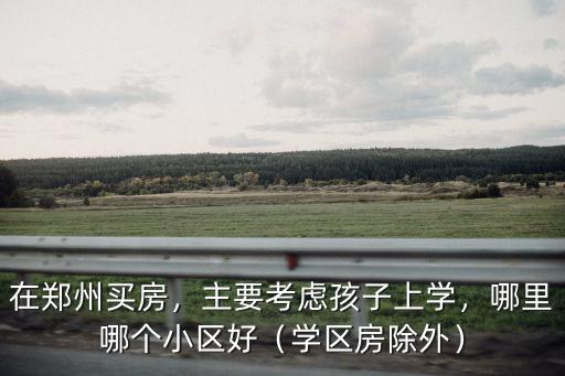 在鄭州買(mǎi)房，主要考慮孩子上學(xué)，哪里哪個(gè)小區(qū)好（學(xué)區(qū)房除外）