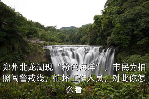 鄭州北龍湖現“粉色海洋”，市民為拍照闖警戒線，忙壞工作人員，對此你怎么看